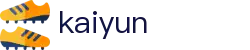 开云（KaiYun）中国官方门户 - 正版官方入口